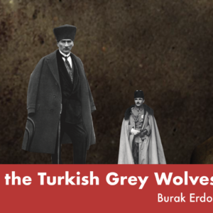 Who are the Turkish Grey Wolves?
