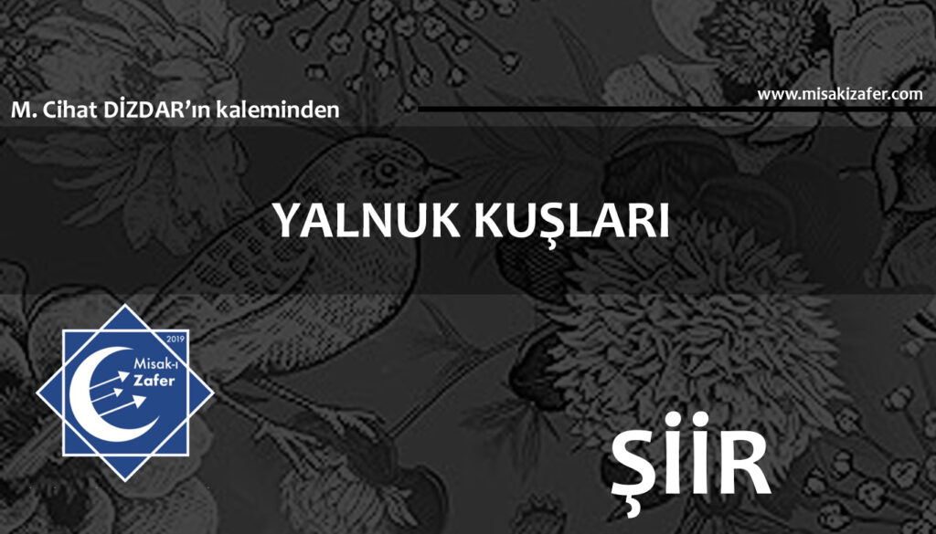 YALNUK KUŞLARI